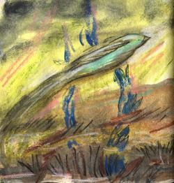 2025-05-13 image