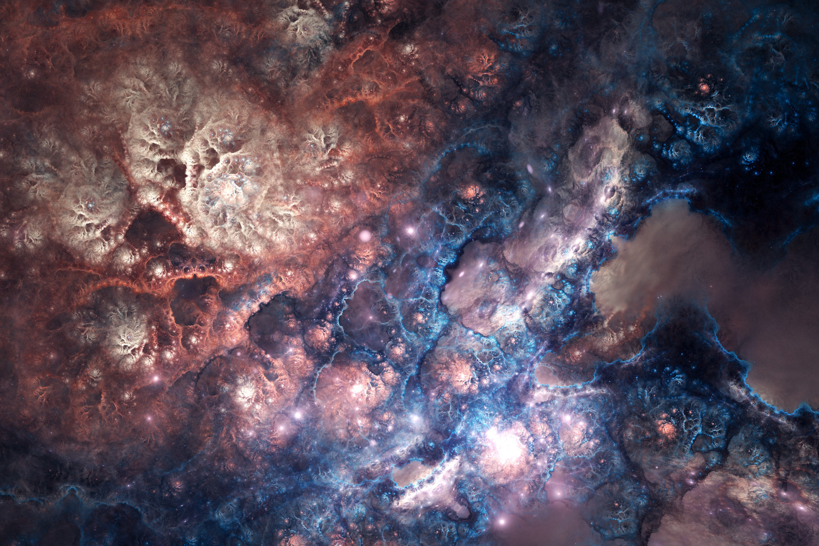 Exploring fossils of rose universe image 1