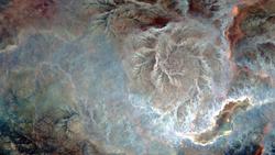 Exploring fossils of rose universe image 2