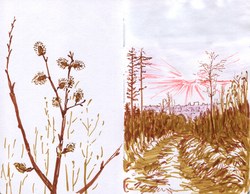 march 2026 sketches image 16