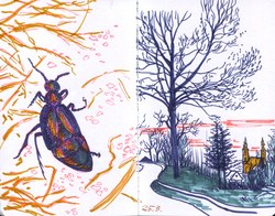 march 2026 sketches image 22